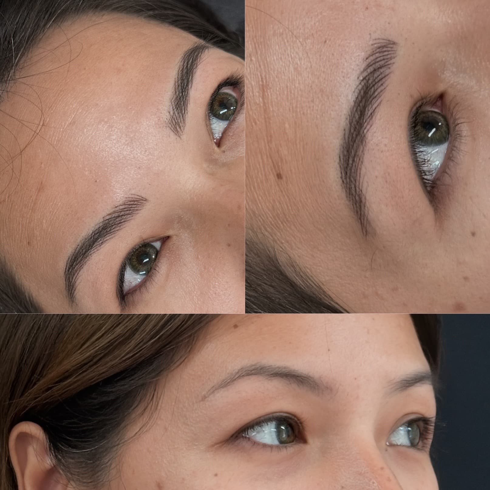 Custom Nano Brows hairstroke detail collage